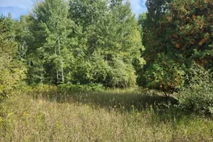 7385 S 88th Ave, Rothbury, MI 49452 - Photo 38