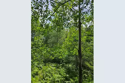 00 Sarsi Cove, Evart, MI 49631 - Photo 6