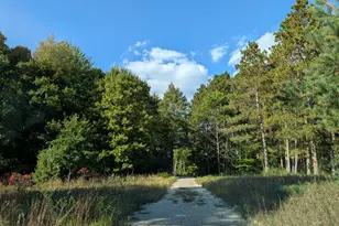 6698 E Skeels Rd, Holton, MI 49425 - Photo 1