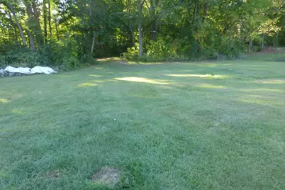 15646 W Clear Lake Rd. Road, Buchanan, MI 49107 - Photo 2