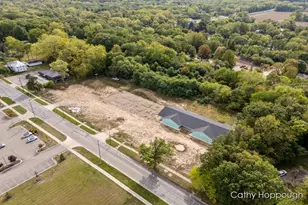 533 E Washington St, Ionia, MI 48846 - Photo 22