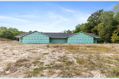 533 E Washington Street #A,B,C,D, Ionia, MI 48846 - Photo 1