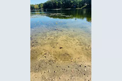 5112 N Bass Lake Road, Irons, MI 49644 - Photo 18