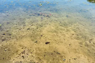 5112 N Bass Lake Rd, Irons, MI 49644 - Photo 18