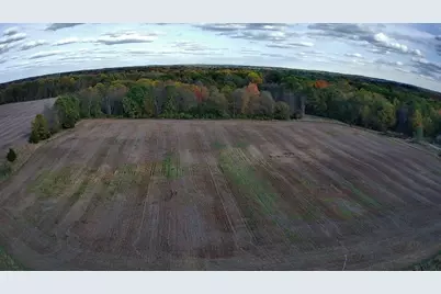 000 Burtch Parcel 5 Road, Grass Lake, MI 49240 - Photo 16