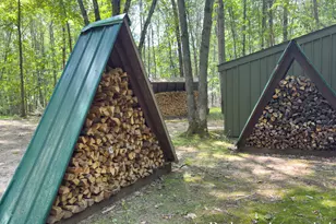 4751 S Johnson Rd, Gowen, MI 49326 - Photo 48