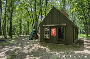 4751 S Johnson Rd, Gowen, MI 49326 - Photo 46