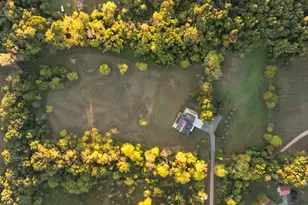 7533 Nature View Dr, Jackson, MI 49201 - Photo 74