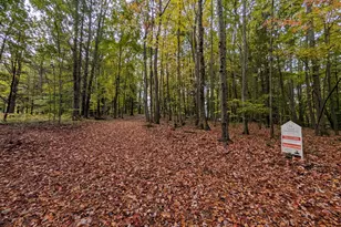 V/L E Kissing Oaks Trail, Custer, MI 49405 - Photo 8