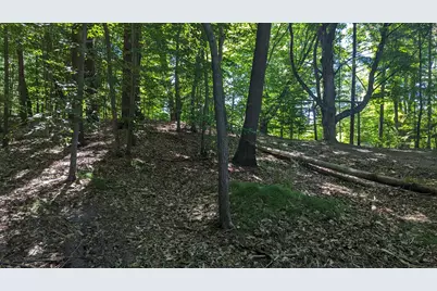 V/L E Kissing Oaks Trail #164, Custer, MI 49405 - Photo 16