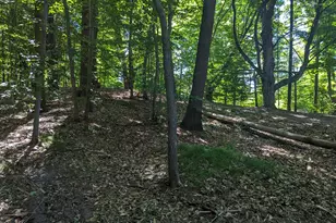 V/L E Kissing Oaks Trail, Custer, MI 49405 - Photo 16