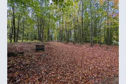V/L E Kissing Oaks Trail #164, Custer, MI 49405 - Photo 2