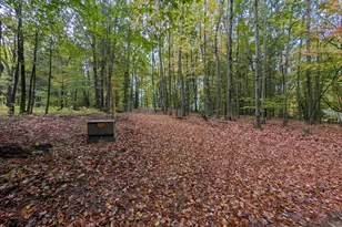 V/L E Kissing Oaks Trail, Custer, MI 49405 - Photo 2