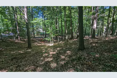 V/L E Kissing Oaks Trail #164, Custer, MI 49405 - Photo 4