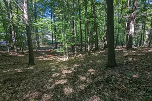 V/L E Kissing Oaks Trail, Custer, MI 49405 - Photo 4