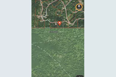 V/L E Kissing Oaks Trail #164, Custer, MI 49405 - Photo 10