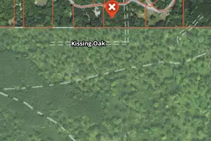 V/L E Kissing Oaks Trail, Custer, MI 49405 - Photo 10