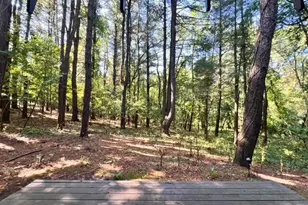 520 S Kendall Ave, Kalamazoo, MI 49008 - Photo 4