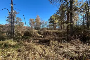 928 Flint Rd, Coldwater, MI 49036 - Photo 86