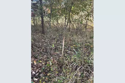 928 Flint Road, Coldwater, MI 49036 - Photo 76