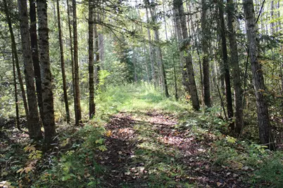 9850 Elevere Road, Lachine, MI 49753 - Photo 64