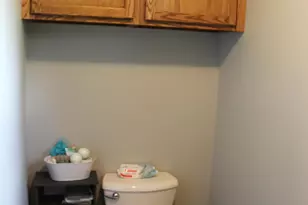 229 S Sherman St, Sheridan, MI 48884 - Photo 18