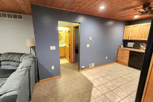 6039 W Morris Lake Rd, Mears, MI 49436 - Photo 28