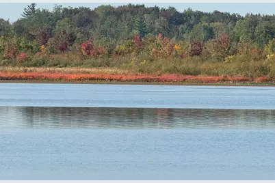 252 W Lake Drive, Cadillac, MI 49601 - Photo 18