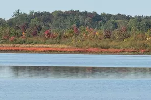 252 W Lake Dr, Cadillac, MI 49601 - Photo 18