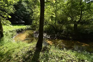 14888 Cr 687, South Haven, MI 49090 - Photo 134