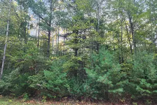 6842 White Pine Dr, Stanwood, MI 49346 - Photo 1