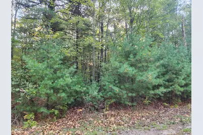 6842 White Pine Drive, Stanwood, MI 49346 - Photo 2