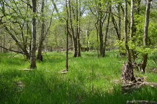 2255 River Rd, Hastings, MI 49058 - Photo 62
