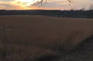 2255 River Rd, Hastings, MI 49058 - Photo 32