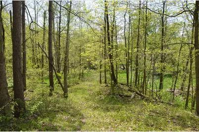 2255 River Road, Hastings, MI 49058 - Photo 58