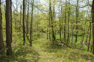 2255 River Rd, Hastings, MI 49058 - Photo 58