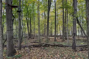 2255 River Rd, Hastings, MI 49058 - Photo 90