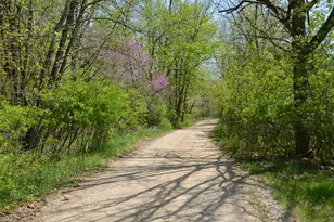 2255 River Rd, Hastings, MI 49058 - Photo 44