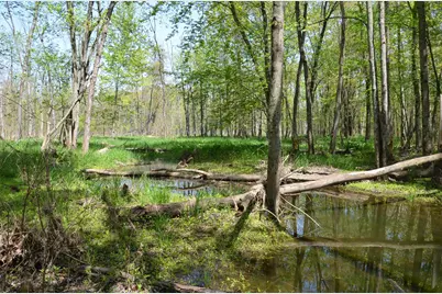 2255 River Road, Hastings, MI 49058 - Photo 68