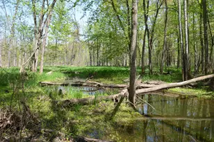 2255 River Rd, Hastings, MI 49058 - Photo 68