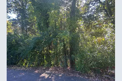 V/L Altavista #Lot 10, Battle Creek, MI 49017 - Photo 1