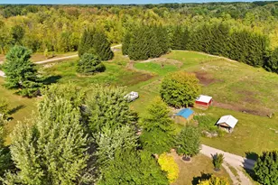 491 Bitter Crk Ln, Pierson, MI 49339 - Photo 14