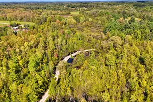 491 Bitter Crk Ln, Pierson, MI 49339 - Photo 18