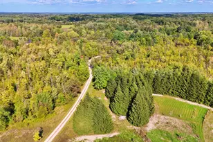 491 Bitter Crk Ln, Pierson, MI 49339 - Photo 16