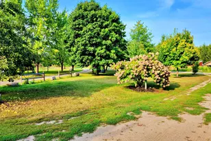 491 Bitter Crk Ln, Pierson, MI 49339 - Photo 24