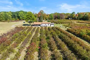 11160 Farina Rd, New Buffalo, MI 49117 - Photo 2