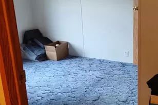 545 E Streambank St, Newaygo, MI 49337 - Photo 24