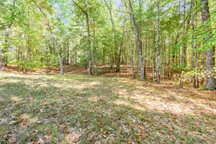 2447 W Lake Shore Dr, Bitely, MI 49309 - Photo 22