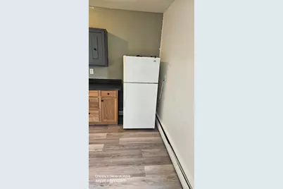 141 County Street, Milan, MI 48160 - Photo 14