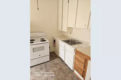 141 County Street, Milan, MI 48160 - Photo 8